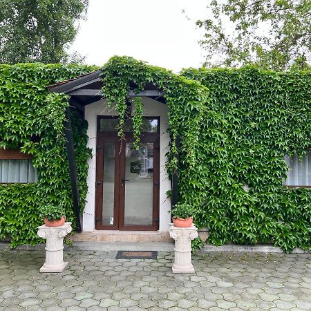 Vila Toscana Timisoara Ngoại thất bức ảnh